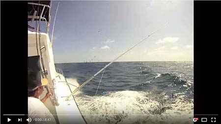 Kianah sportfishing-Isla Mujeres fishing video